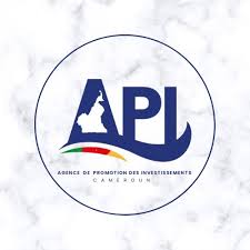 API (Agence de Promotion des Investissements) | Cameroun